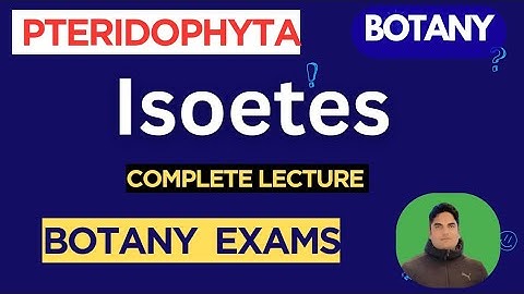 L11 | #Isoetes | Pteridophytes | Botany |#BotanyExamPrep #jkpscbotanylecturerexam2025 