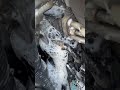 Hard To Find AC Freon Leak Found After Adding 250 Psi Of Nitrogen To System Hard To Find AC Freon Leak Found After Adding 250 Psi Of Nitrogen To System