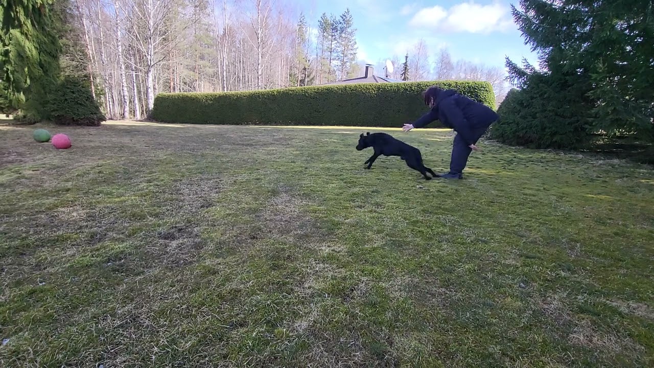 Icywaters Cedar Grove wirtuaali-wt tehtävä 2 Alokkaat 12.4.2025