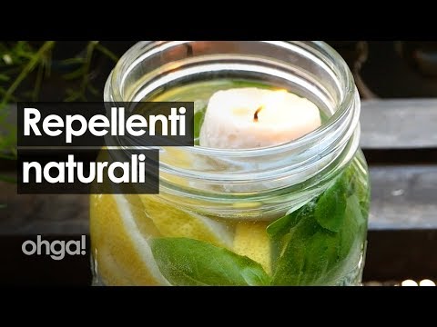 I repellenti naturali per tenere lontane zanzare, mosche e formiche!