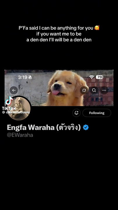 Engfa be like
