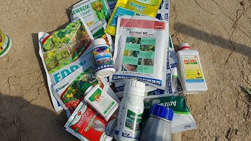 Phun gì khi hoa bị gỉ sắt ( nấm cóc )? các loại thuốc nấm mà mình sử dụng cho hoa.