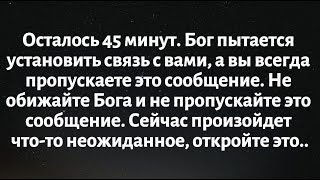 :  45 .      ,       ...