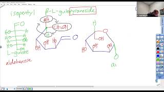 c242w23 L22 Draw isopentyl B L gulopyranoside