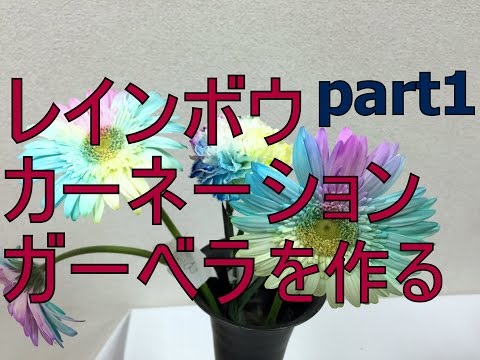 虹色のカーネーション ガーベラの作り方 準備編 How To Make A Rainbow Carnation And Gerbera Part1 Youtube