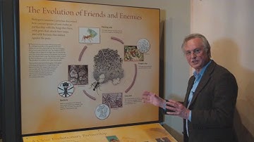 Richard Dawkins: Ants that farm, compost and weed - Nebraska Vignettes #4