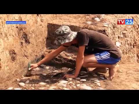 ახალი აღმოჩენები ფიჭვნარის არქეოლოგიურ ნაქალაქარში
