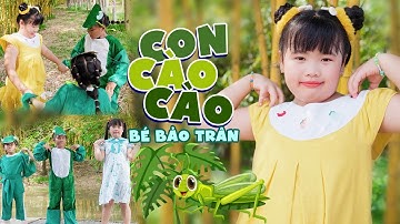 Con cào cào có cái cánh xanh xanh ♫ CON CÀO CÀO - BÉ BẢO TRÂN || Ca Nhạc Thiếu Nhi Mầm Chồi Lá 2023