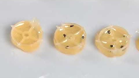 Leica EM AMW | Automatic Microwave Tissue Processor for Electron Microscopy   YouTube