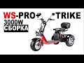 WS-PRO + 3000W TRIKE Сборка. Как собрать Трайк WHITE SIBERIA?