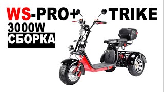 Ws-Pro + 3000W Trike Сборка. Как Собрать Трайк White Siberia?