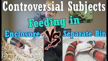 Con-Sub: Feeding in the Enclosure vs Separate Bins