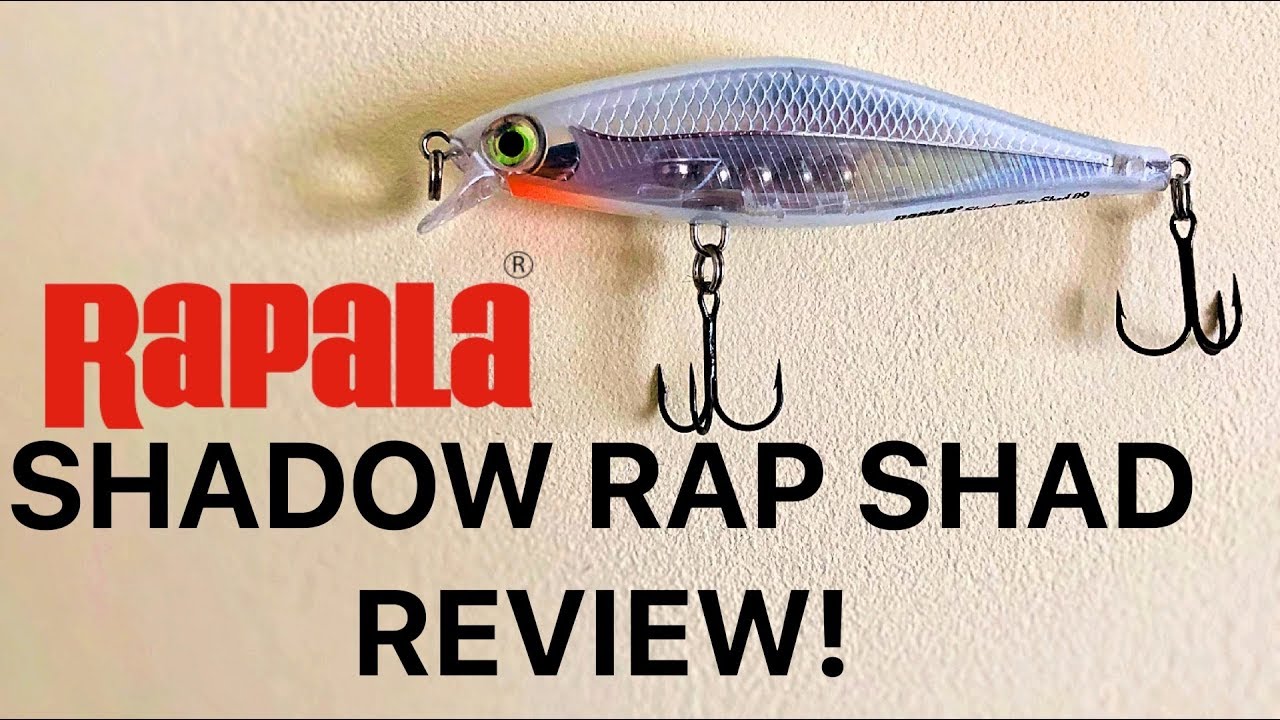 Rapala Shadow Rap Shad review! perch lure challenge EP.1 