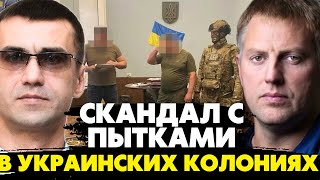 🔥Скандал набирает обороты! Задержание садистов и 