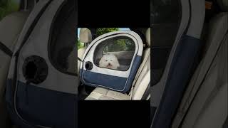 BEST Dog Crate For Car Travel (Backseat, Foldable)  #shorts