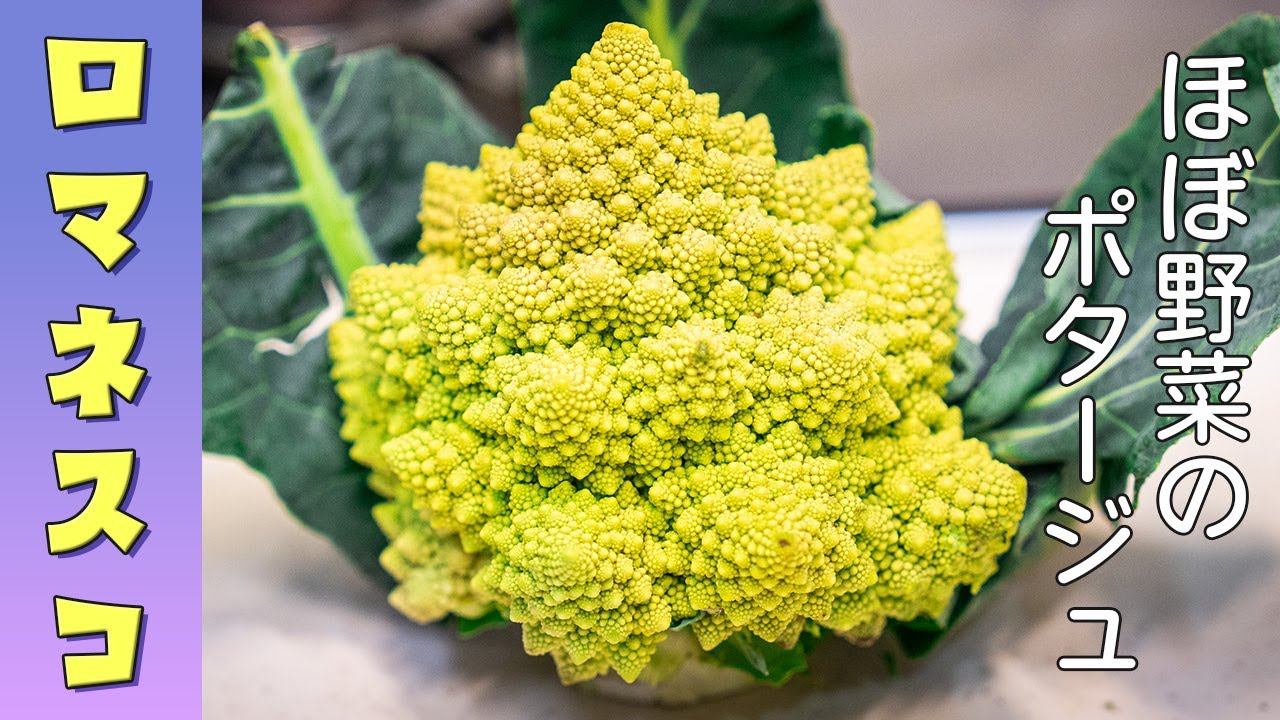 Romanesco] Enjoy this strangely shaped vegetable in its entirety