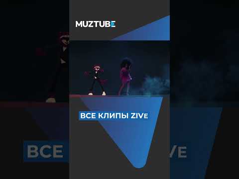 Живые Выступления Zivert На Muztube