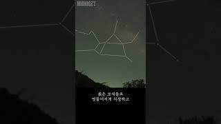 사수자리(궁수자리) 이신 분들은 꼭 보세요 #shorts