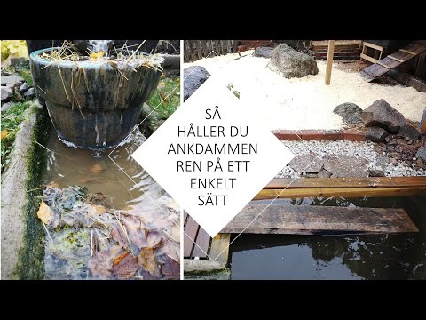 Video: Hur man gör badsalter (med bilder)