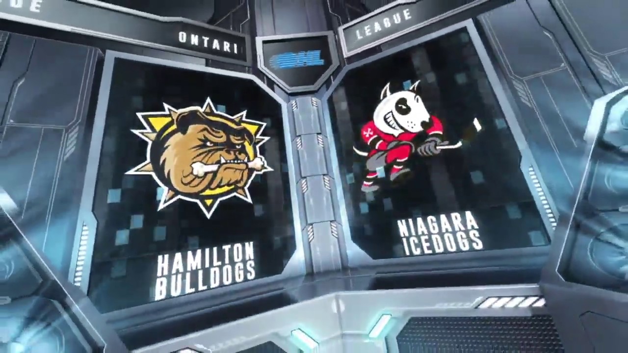 HIGHLIGHTS | Niagara IceDogs (10) vs Hamilton Bulldogs (0) - January 17, 2019