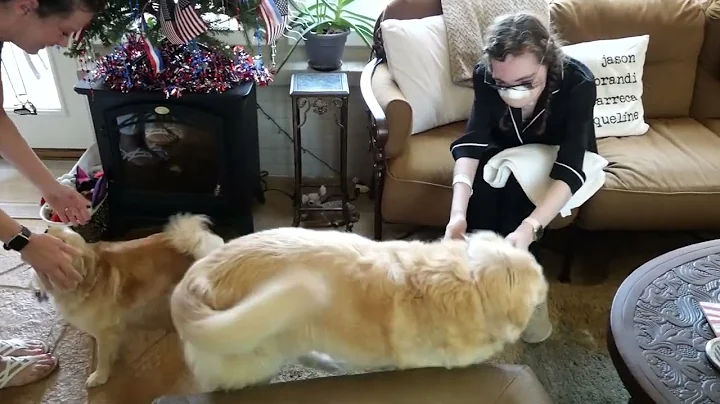 17th surgery VLOG