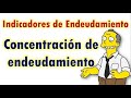 Concentración de endeudamiento Corto y Largo plazo | Ejercicio + interpretación