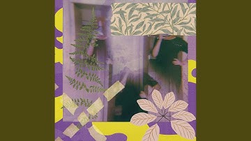 Entertaining Backdrops for Slacking Reflections