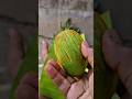 Tasty Mango Masala #shorts #mango