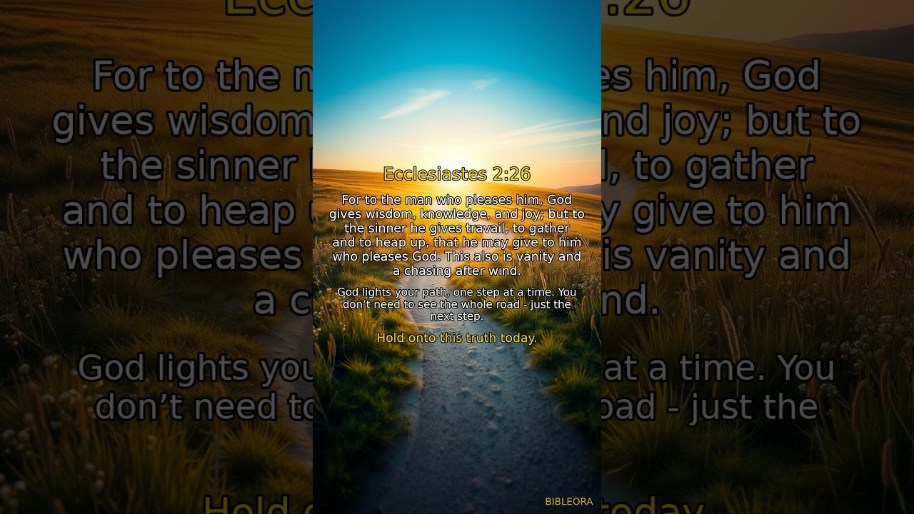 📖 HOLY BIBLE: Divine Guidance | Ecclesiastes 2:26 #shorts