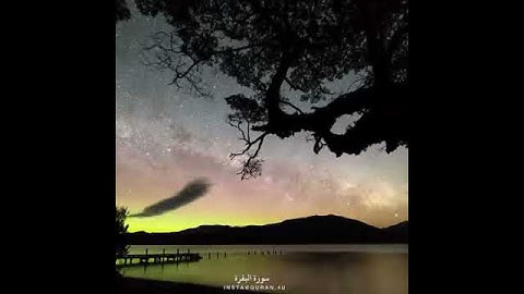 القارئ مشاري البغلي