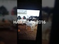 HAMADI BA 2016