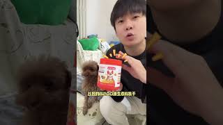 给邪恶摇粒绒辟谣! #萌宠#迷惑行为大赏#谷登#谷登维生素B#宠物维生素