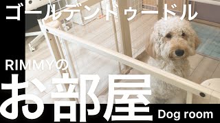 【ゴールデンドゥードル】大型犬リミィのお部屋をご紹介！！