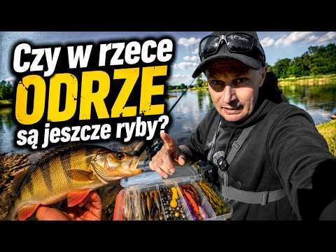 Spin Fishing on the Oder River | Fishing 2026