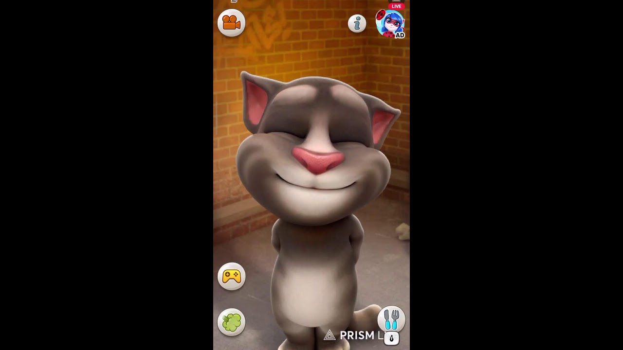 Talking Tom LIVE — Fun Cute & Non-Stop Entertainment 