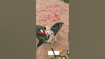 #القران_الكريم #تلاوه_خاشعه #قال رب انیی ظلمت نفسی #الشيخ محمود الشحات #اكسبلور #foryou