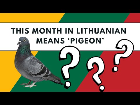 Learn Lithuanian Months of the Year Quiz | Vocabulary Practice for Beginners (A1)