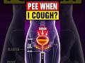 Why Do I Pee When I Cough?