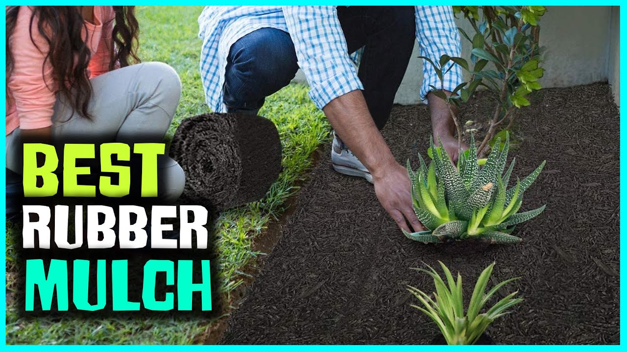 Top 5 Best Rubber Mulch for Playground/Landscaping/Flower Beds & Dogs