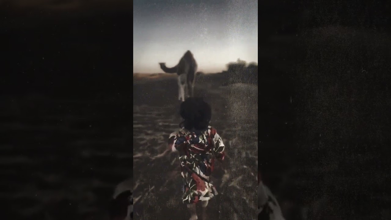 تلاقينا معاه صدفه من ابداعات الشريف