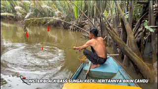 Download Lagu Mancing Monster Black Bass Sungai Kecil Tak Jauh Dari Rumah. #anakmahakamfishing  MP3 Download Lagu Mancing Monster Black Bass Sungai Kecil Tak Jauh Dari Rumah. #anakmahakamfishing  MP3