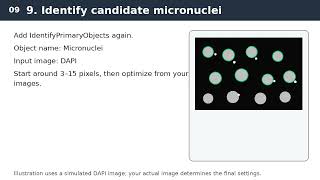 CellProfiler Micronucleus Counting Tutorial