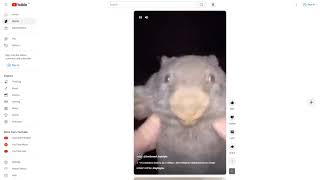 [Vinesauce] Joel Discovers BOBER