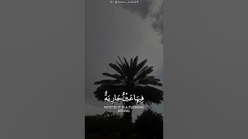 في جنة عالية - سورة الغاشية | تلاوة جميلة من القاري عبدالرحمن مسعد