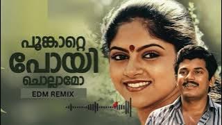 Poonkatte Poyi Chollamo Song - EDM Mix #music #song #edmclub