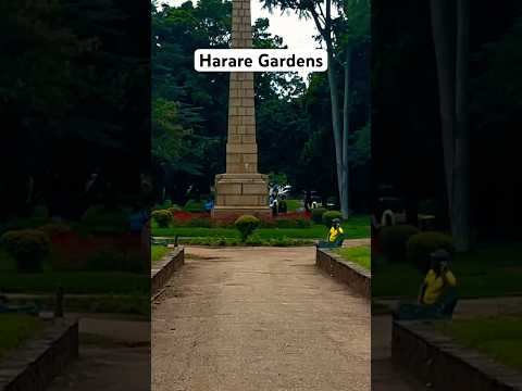 Harare Gardens love love asmr travel garden zimbabwe zimyoutuber garden gardening foryour by Afri Lioness