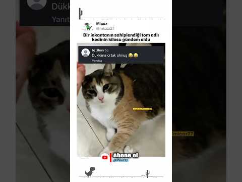 Paşanın keyfi yerinde rahat bırakın #keşfet #mizah #komikvideolar