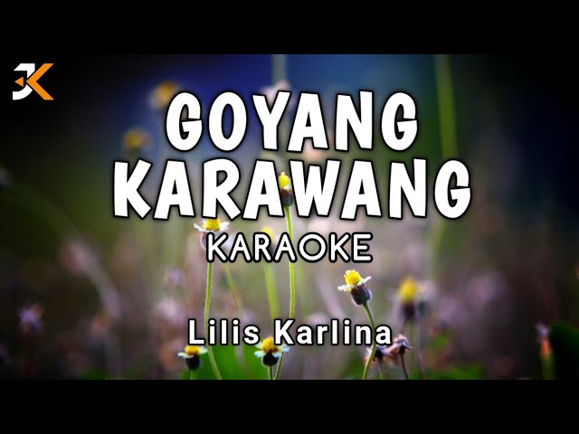 KARAOKE GOYANG KARAWANG_LILIS KARLINA | COVER KORGPA50 class=
