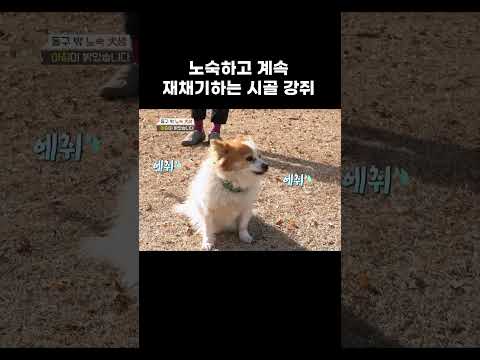 감기에도 노숙은 못 참지 #shorts