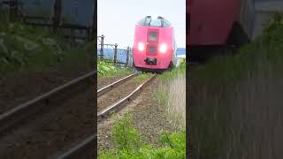 【はまなす編成 代走】特急おおぞら1号 キハ261系5000番代 #jr北海道 #train #railway